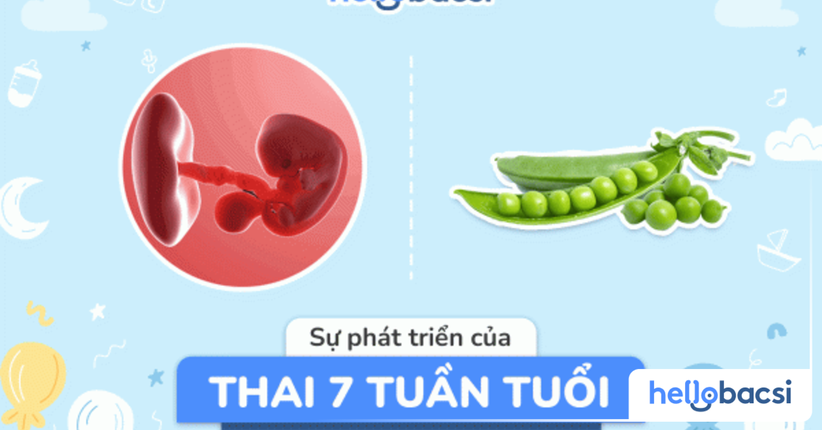 Những bí mật về thai 7 tuần bụng đã to chưa bạn nên biết