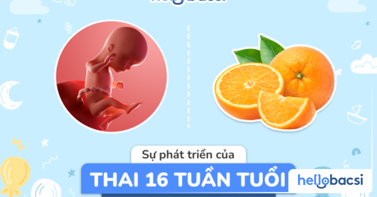 Bụng bầu trong tuần thứ 16 đã có những biểu hiện và thay đổi nào?
