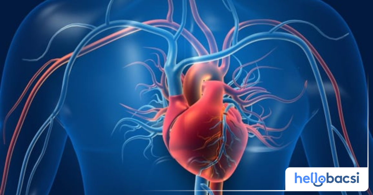 Trái tim nằm ở đâu, bên trái hay phải và cách để chăm sóc tim khỏe mạnh